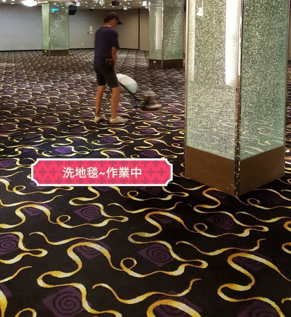地毯清潔的第1張圖片 地毯清潔的第1張圖片